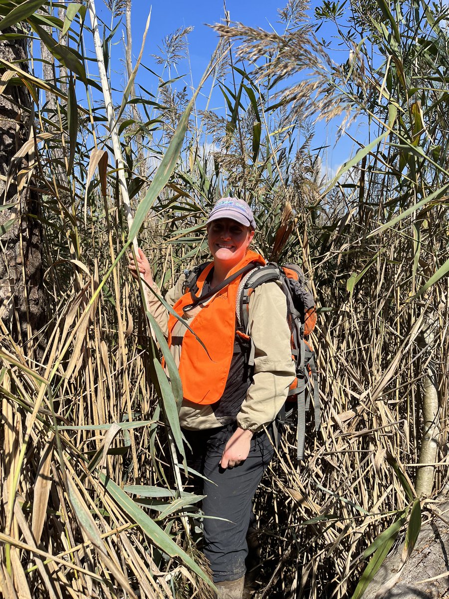 Serina Wittyngham, PhD tweet media