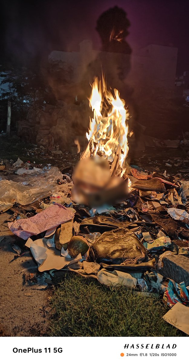 Do you want to see the plastic monster,
You can see in the pic.
Don't fire the waste in public,
It should be trashed safely.

Thanks to @oneplus @OnePlus_IN 
#PlasticMonster
#ShotOnOneplus
#OnePlus11 #Fire
#SaveNature
#Hasselblad