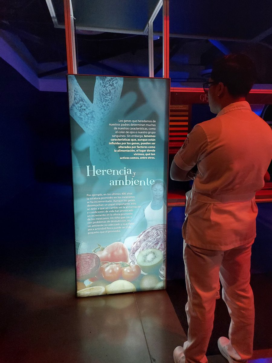 SociologistaNo1's tweet photo. Ya hacían ganas de volver al @iicmuseouabc para integrar actividades interactivas al desarrollo de los alumnitos♡ de #UXMedicinaMxli https://t.co/5BfuCmXXfH