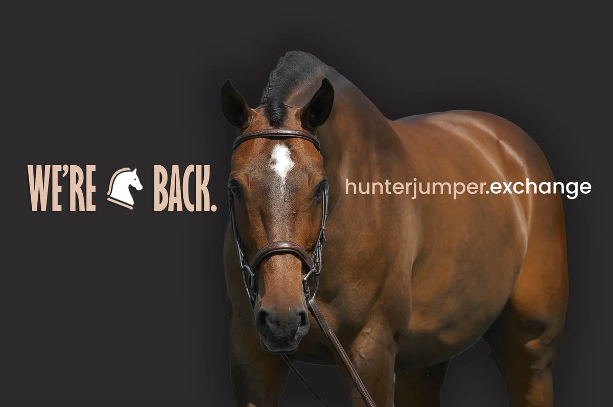That's right, we're back! Back with over 2 dozen new sale horses &amp; a revolutionary new sales platform.  

But are we back... here? TBD. But I can tell you that, personally, I'm not here much anymore 👀

So find us on FB &amp; insta or check out the new site at hunterjumper.exchange