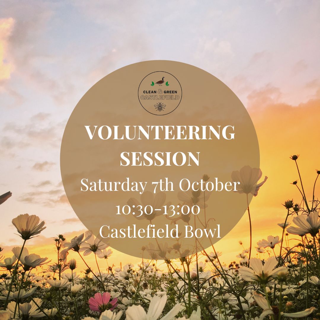 Hi Clean & Green Castlefield , Hope you are having a good week. We'll be out on Saturday this week for a change. Come and join us if you can for some gardening and/ or litter picking. Registration at ourcastlefield.co.uk/cgcastlefield 🌱