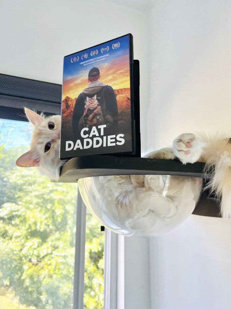 CatDaddiesMovie tweet picture