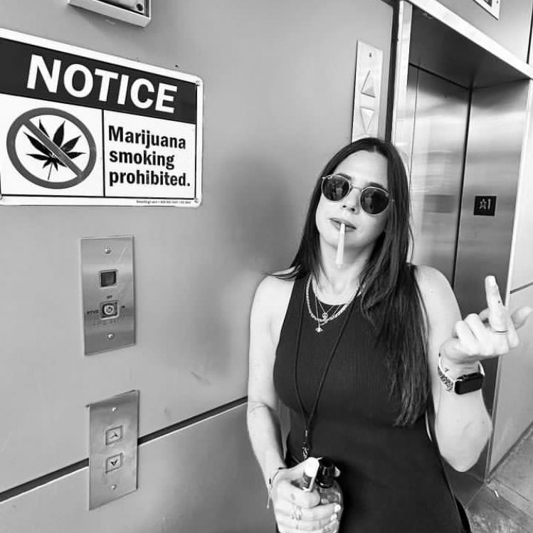 daily wolfie (@awolfieaday) on Twitter photo 