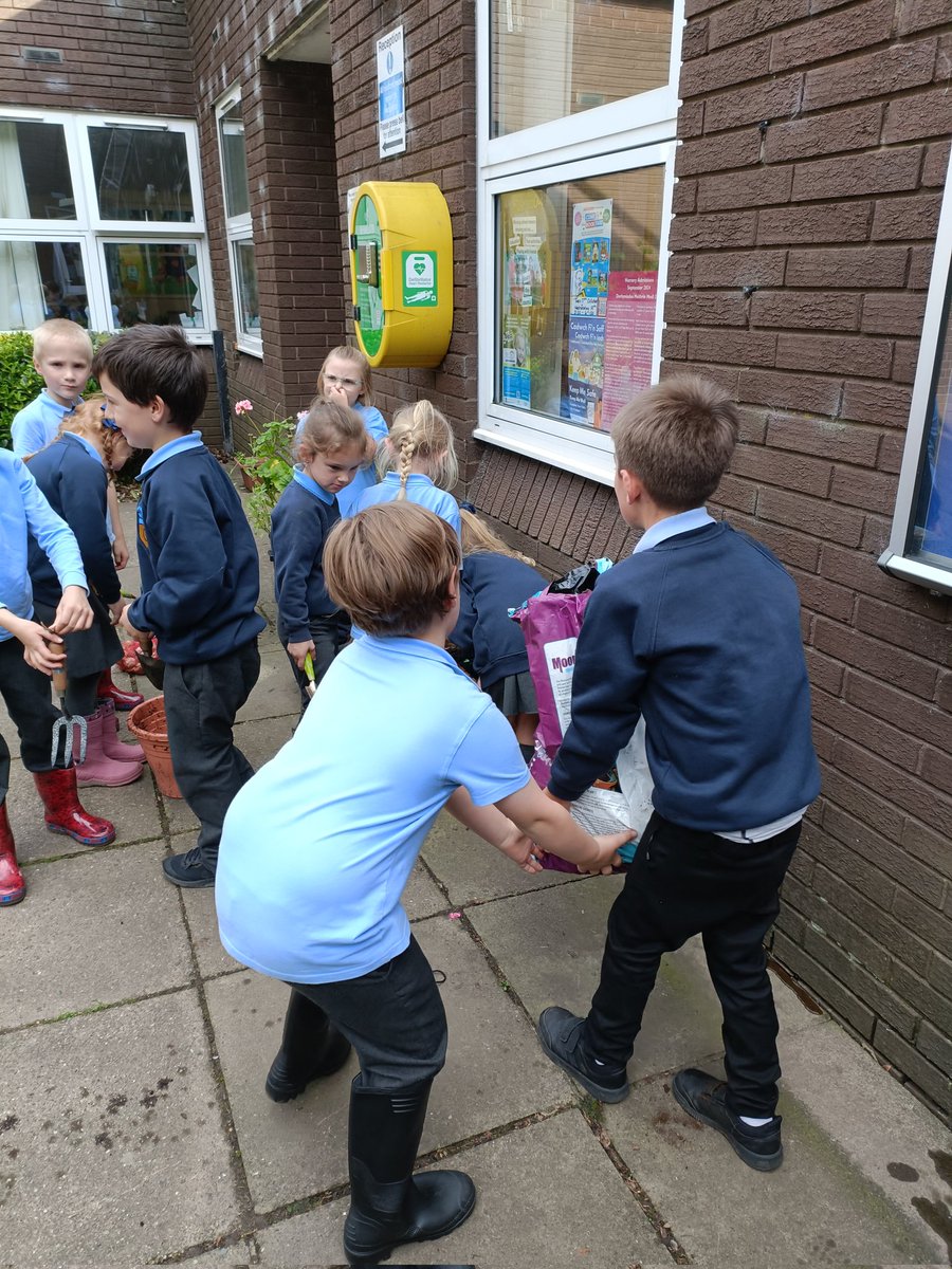 Griff_Ecoclub's tweet photo. Lots of busy people at Eco Club tonight. We've been planting daffodil bulbs by the main entrance. Thanks to @Griff_FOGS for the bulbs @Griff_Mrstaylor @Griff_MissEvans https://t.co/Az56uXSEK7