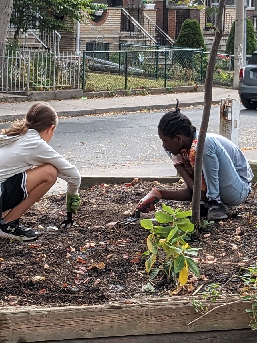 ClintonStreetPS's tweet photo. Students from Rooms 208 and 300 work together in the Butterfly garden. A very Clinton way to celebrate the harvest. https://t.co/F1M968u1LN