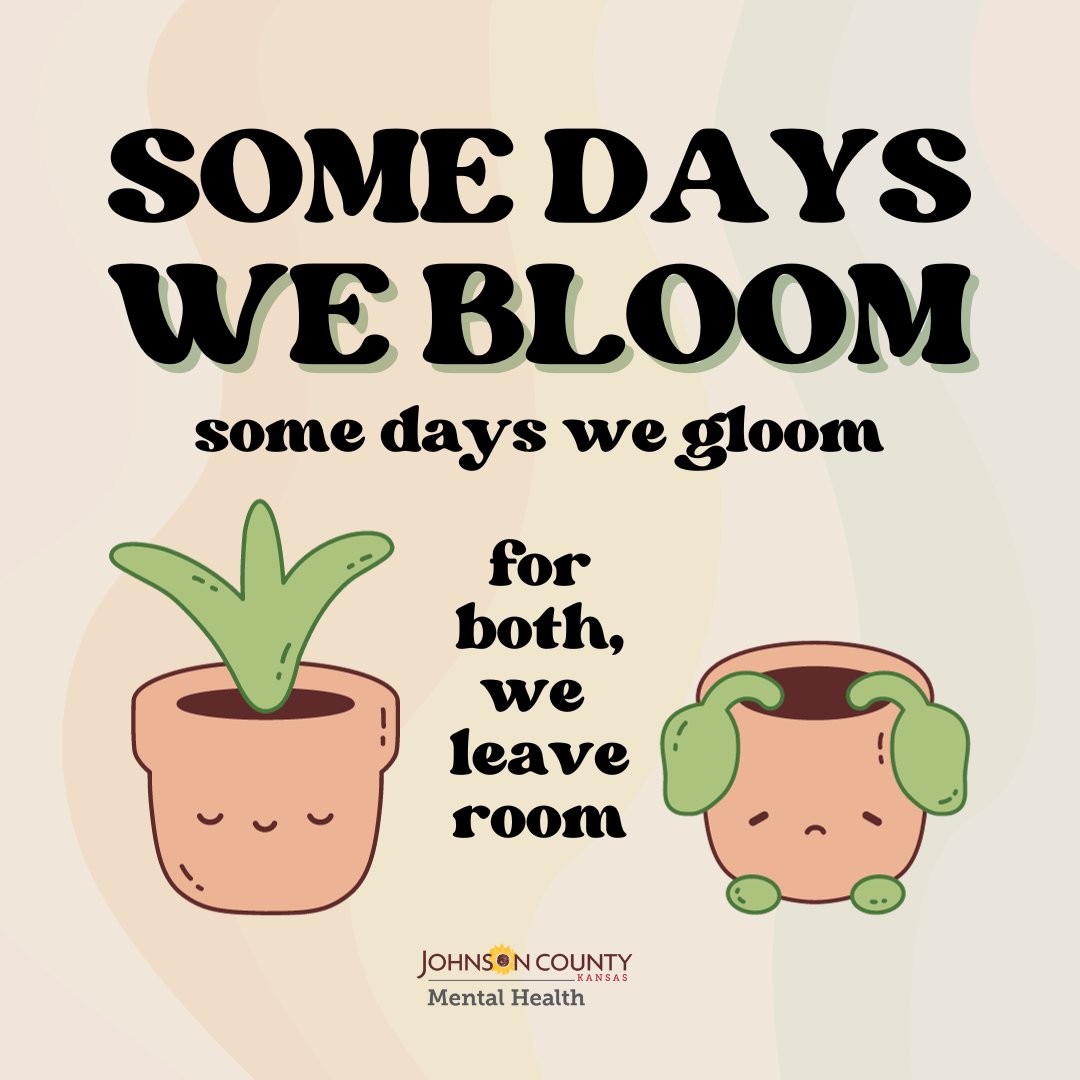 we bloom here