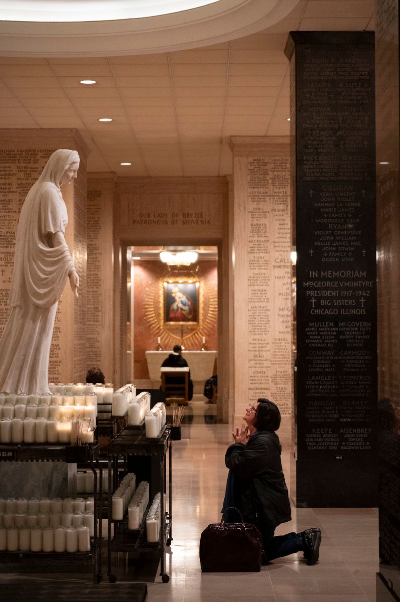 Dominican Friars Foundation tweet media