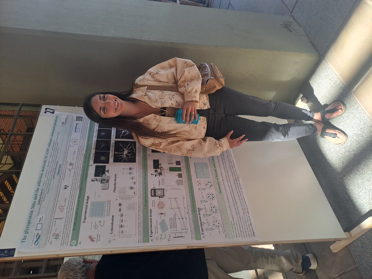 Pau Gonzalez 🧬🐁🧠🔬🇦🇷 (@paulabiorna) on Twitter photo <a href="/RocioGFuster/">Rocío Gutiérrez Fuster</a> is ready to discuss her amazing research on the interaction of M6a and ICAM5 at poster 27.
<a href="/SAN_neuroAr/">SAN_Neurociencias</a> 🧠 #san2023 <a href="/RocioGFuster/">Rocío Gutiérrez Fuster</a> is ready to discuss her amazing research on the interaction of M6a and ICAM5 at poster 27.
<a href="/SAN_neuroAr/">SAN_Neurociencias</a> 🧠 #san2023