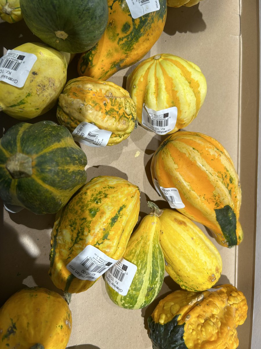 Diversity matters :) 🎃