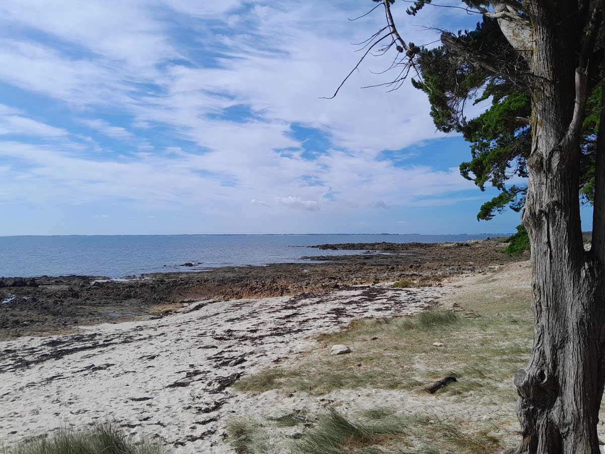 La Trinite-sur-Mer, son port, ses plages...#Morbihan #Bretagne