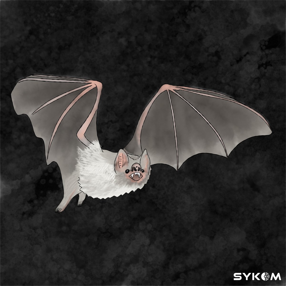 Vampire bats are the only mammal that survive exclusively on blood.😬 They have lost genes associated with sweet & bitter taste receptors, prevent iron absorption by gastrointestinal cells, and create gastric acid, all of which are prefect for an all blood diet. #scicomm #sciart