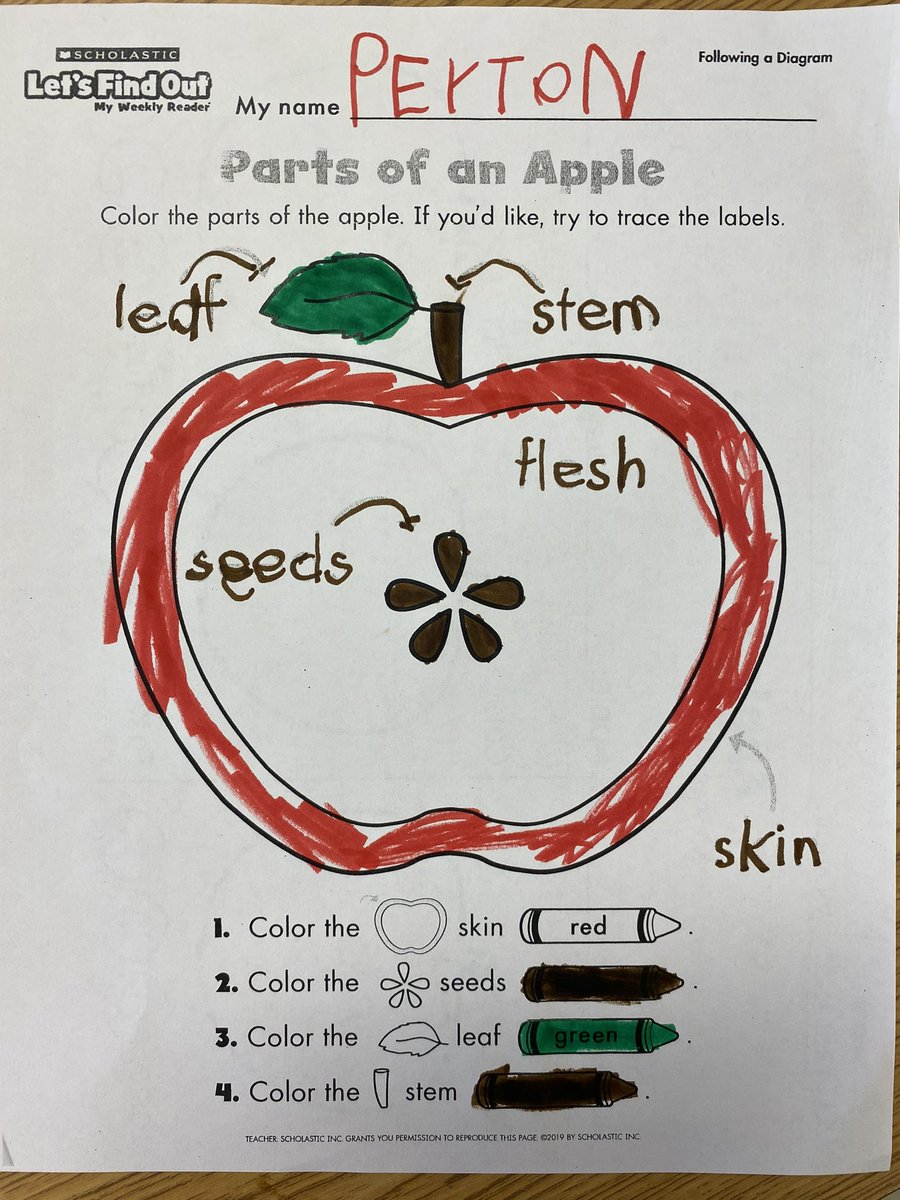 ECCBulldogs's tweet photo. Mrs. Heinrich’s class is hard at work, graphing, sorting, labeling, cooking, and enjoying their learning! https://t.co/aEzdCRIhWa