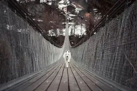 DTNEtiquette's tweet photo. I'm coming for you is what I say to my daily challenges...not running away, not hiding! ~ #DTN #iamdetermined #ivegotthis https://t.co/K5mU5ZFmwX