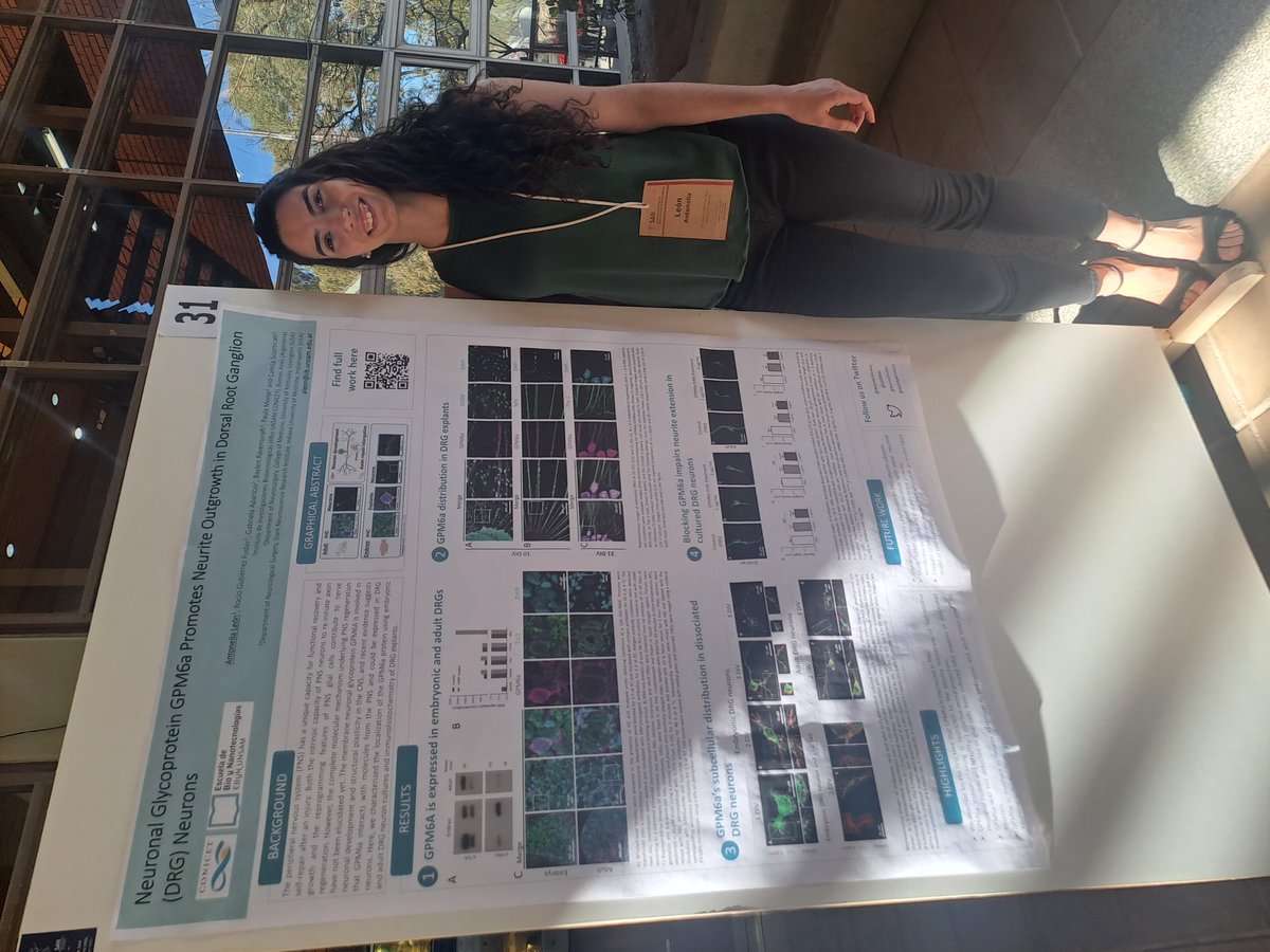 Pau Gonzalez 🧬🐁🧠🔬🇦🇷 (@paulabiorna) on Twitter photo <a href="/AntonellaLeon_/">Antonella León</a> is at poster 31 to discuss the latest discoveries on the expression of m6a in dorsal root ganglion neurons!
<a href="/GabiAparicio11/">GabiAparicio PhD</a> <a href="/K1000AS/">Camila Scorticati</a> <a href="/SAN_neuroAr/">SAN_Neurociencias</a>
#san2023 <a href="/AntonellaLeon_/">Antonella León</a> is at poster 31 to discuss the latest discoveries on the expression of m6a in dorsal root ganglion neurons!
<a href="/GabiAparicio11/">GabiAparicio PhD</a> <a href="/K1000AS/">Camila Scorticati</a> <a href="/SAN_neuroAr/">SAN_Neurociencias</a>
#san2023
