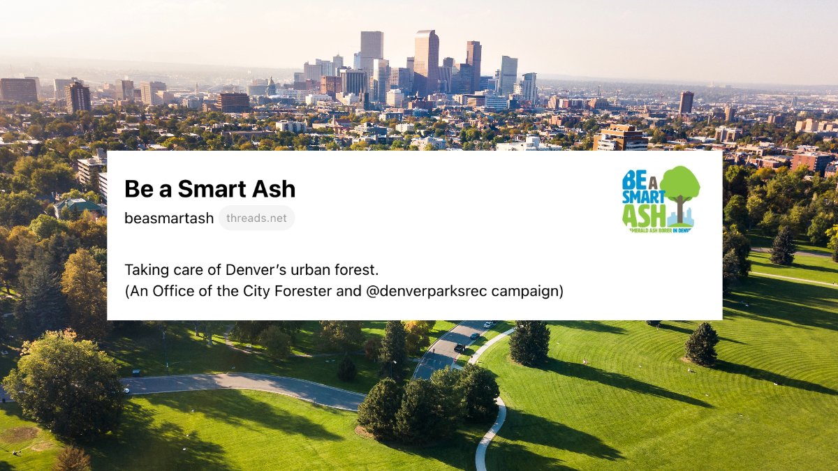 Feel like branching out? 🌳

Follow us on Threads: threads.net/@beasmartash