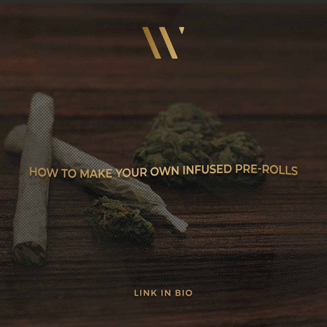 Looking to take your pre-roll experience to the next level, but don't want to run to your local dispo? We got you covered. Click the link below to learn how to make your own infused pre-rolls at home 😉🔥 

winkcannabis.com/exhaled-blog/h…