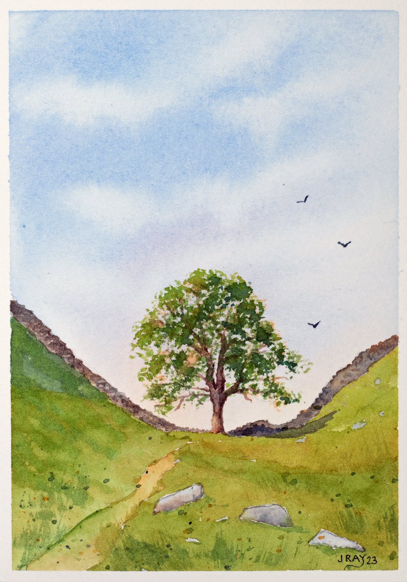 SeaStackJohn's tweet image. An original watercolour painting of Sycamore Gap.