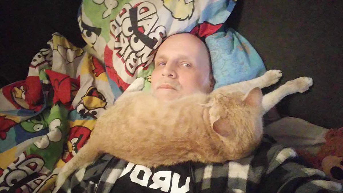 Thunder_Owl's tweet photo. Good Evening... Kinda 😄
#CatLock #Caturday https://t.co/GNOatlId5k