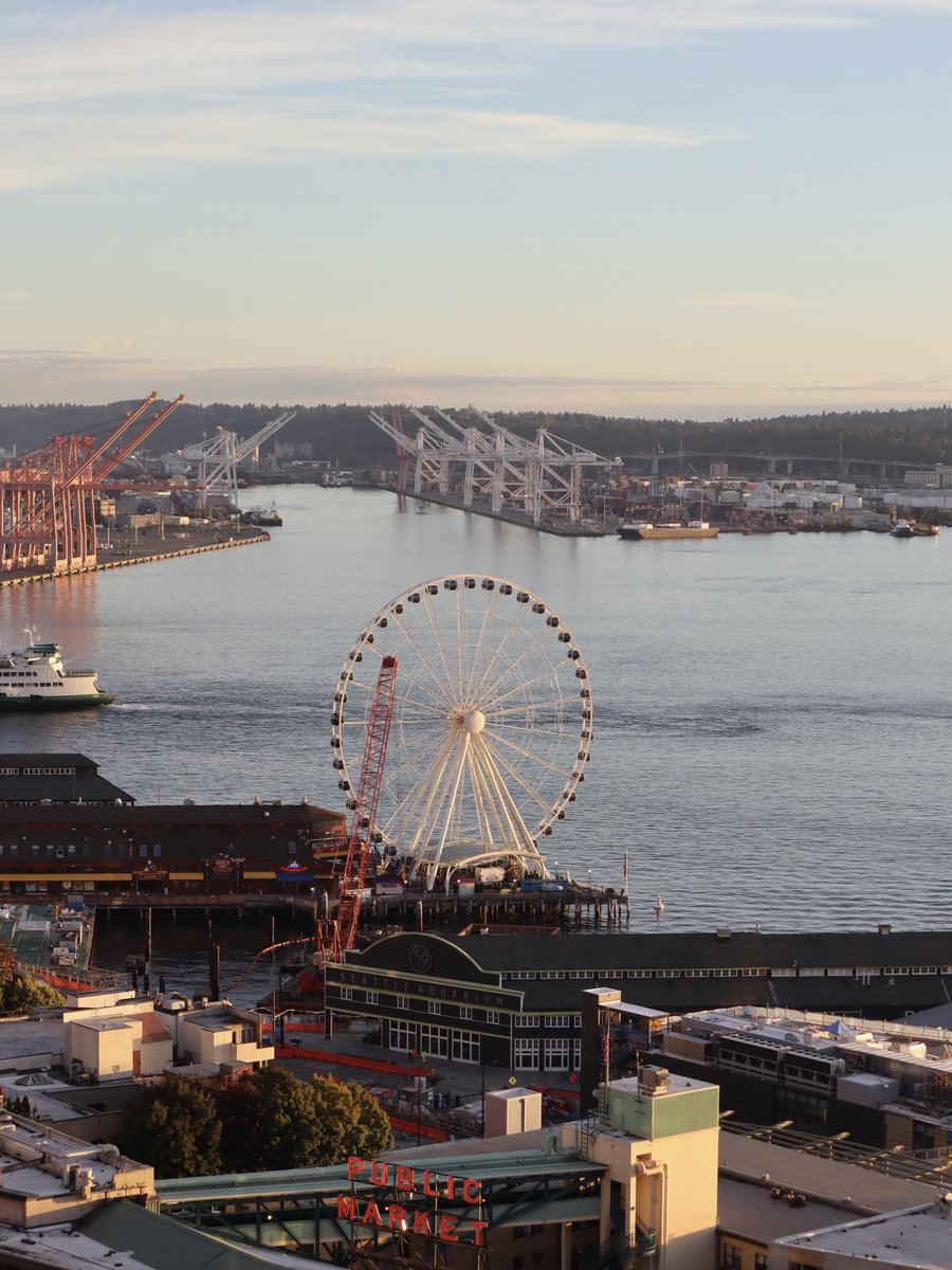 Positive Sum tweet media