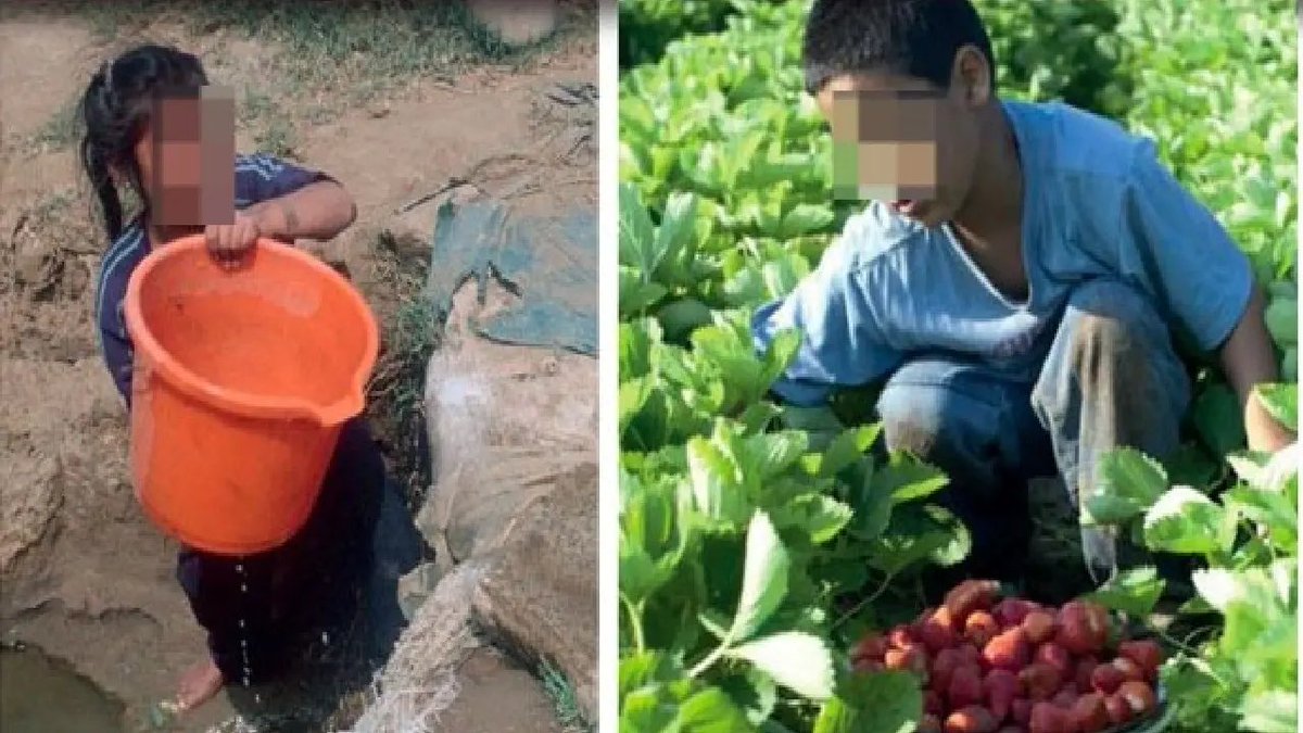 NachoMat72's tweet photo. 1 de cada 10 #niños en México trabajan: @INEGI_INFORMA 

En #Kenia médicos investigan el caso de 100 #alumnas que tienen problemas para #caminar o no pueden hacerlo o se les duermen las pierna

https://t.co/OLbPoCSOSc https://t.co/cASePORNQh