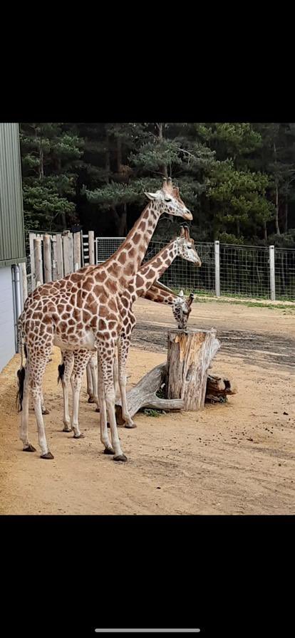 S5/6 Higher and Adv H Biology attended a lecture and workshops at Edinburgh Zoo!   <a href="/Grove_Academy/">Grove Academy</a>