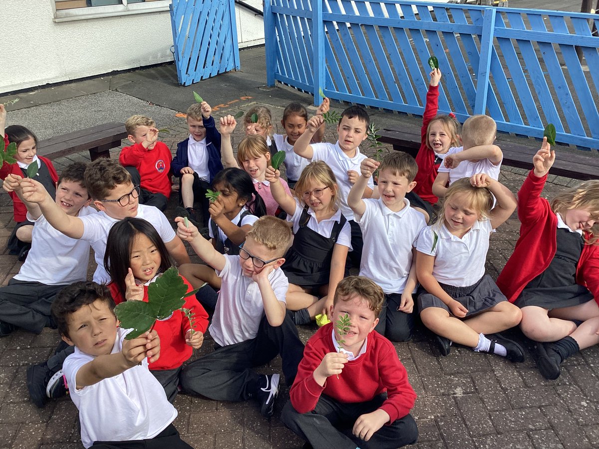 St Helen's Primary tweet media