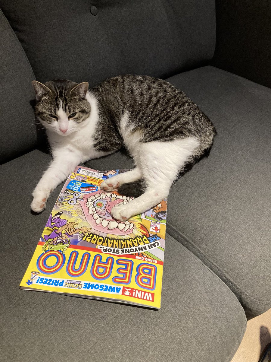 Emma Johnson tweet media