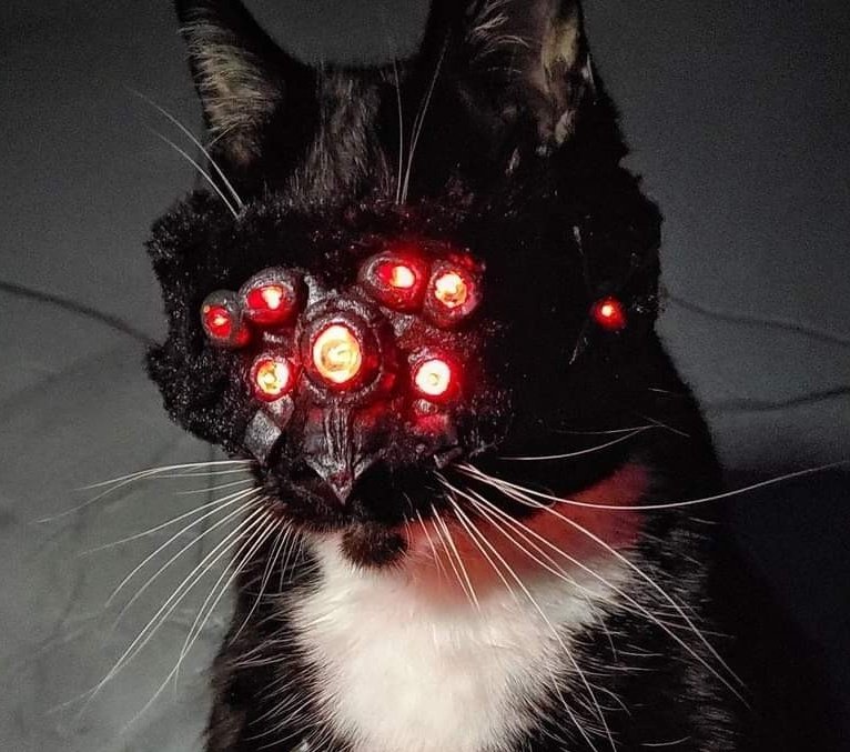 Cat_Cosplay's tweet photo. Meowlstrom Gang

#Cyberpunk2077 https://t.co/HeXLLmwQrh