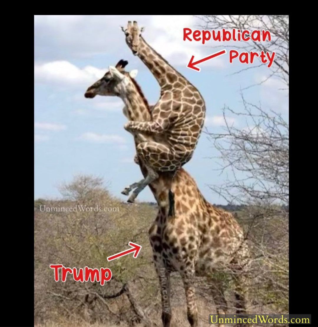 Unminced__Words's tweet photo. How Trump and the Republicans look to everyone https://t.co/BNatLEv22K **REPOST**

#RepublicanParty #Republican #MAGA2024 #TrumpCult #Liberals #Politics #politicalembarrassment #giraffes https://t.co/XrzG3s4MSw