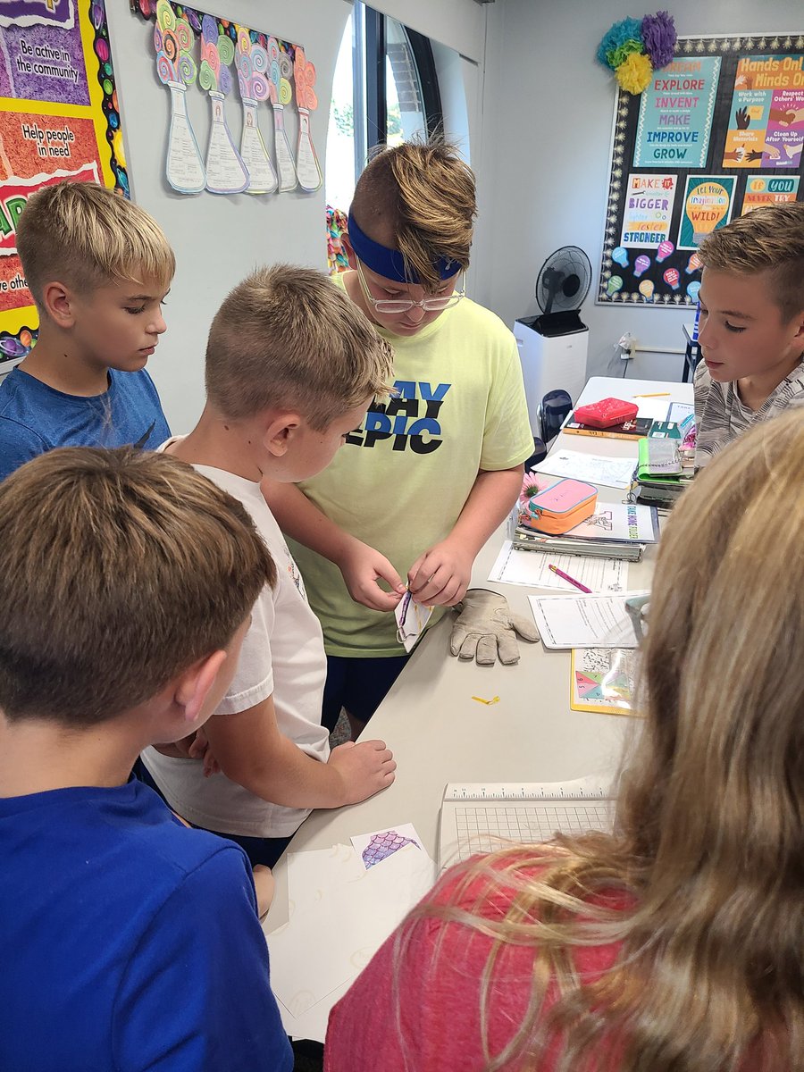 Michelle David tweet media