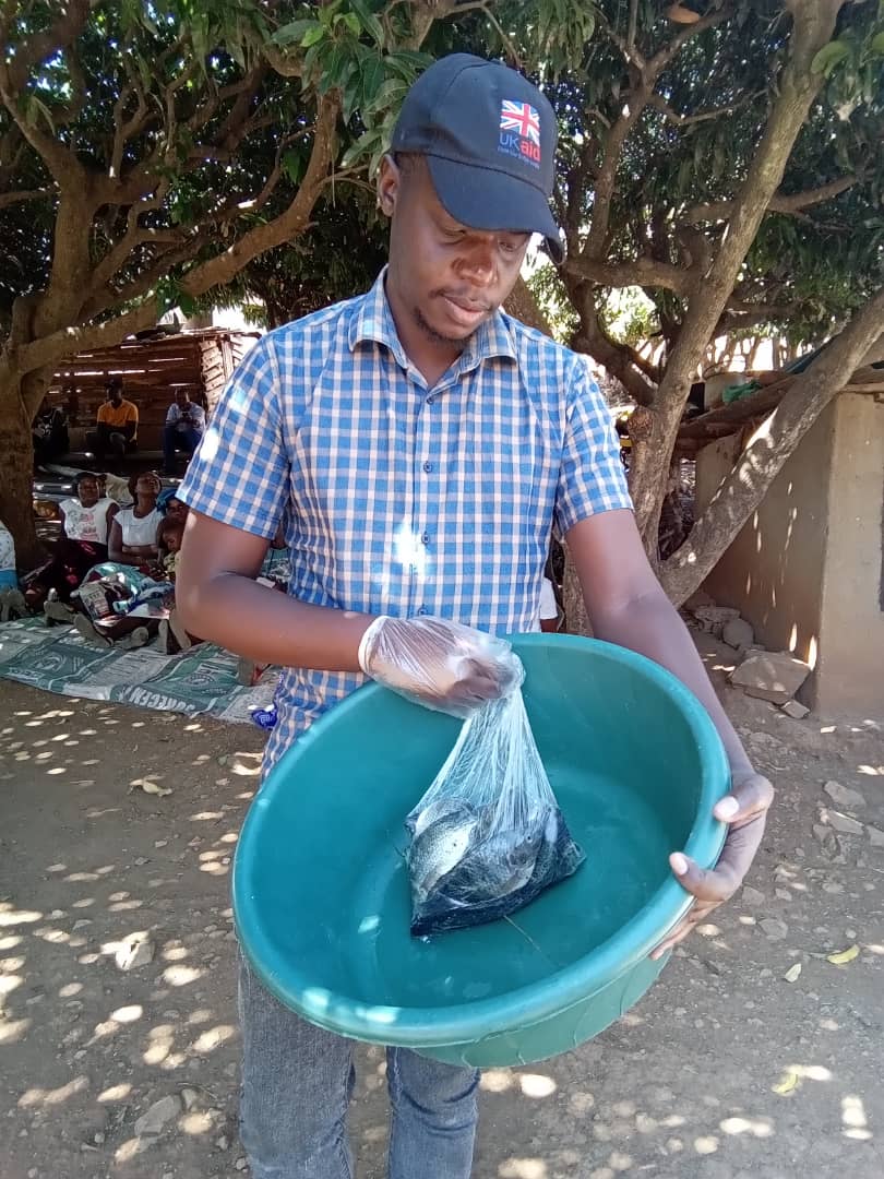 Young Achievers tweet media