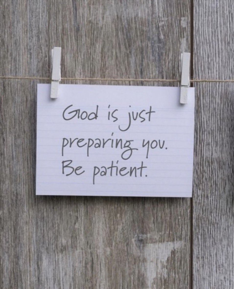 SonofBinta (@bintasonof16453) on Twitter photo 