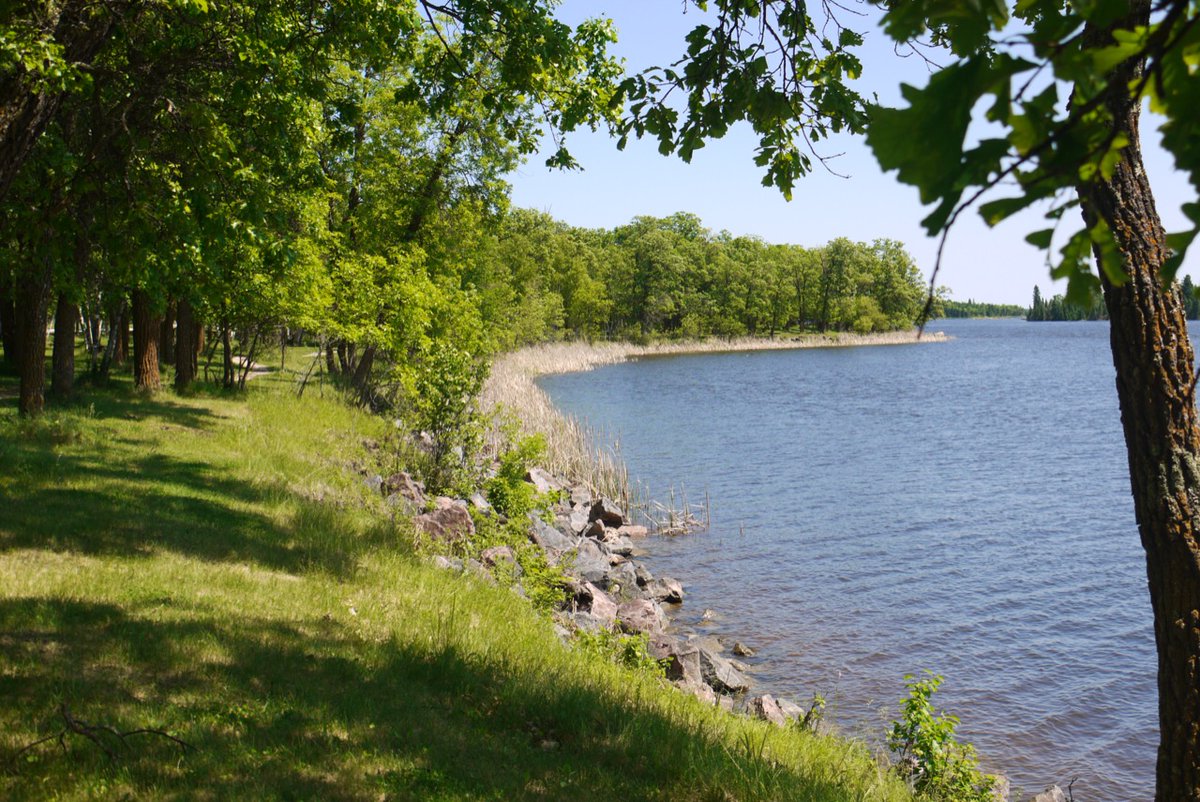 Canadian Scientific and Christian Affiliation tweet media