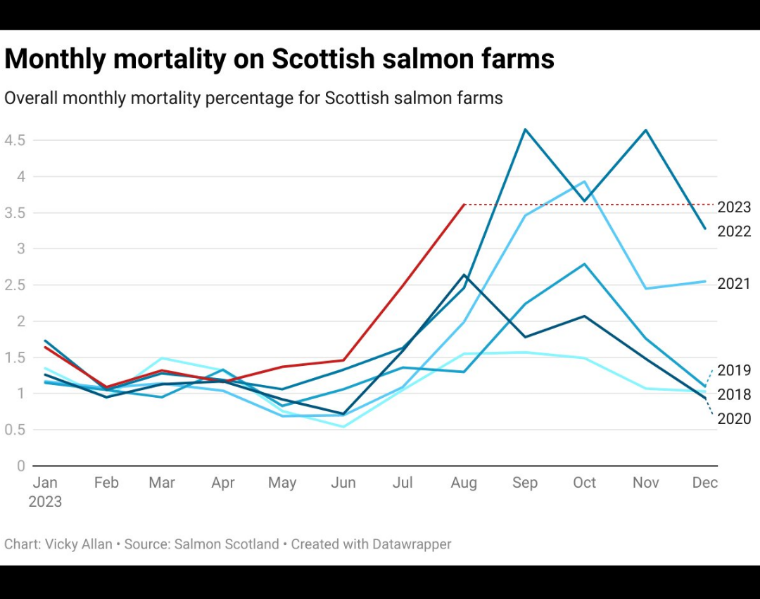 ProtectOurShore's tweet image. Scotland's farmed salmon on track for the highest mortality rate on recent record. Bakkafrost volume down 50%  due to deaths, lowering profit expectations for all.
fishfarmermagazine.com/news/near-50-d…
#salmon #NotSustainable #Waste @CFSTrueFood @CenterForBioDiv @OrcaSOS @BBCWorld @UBC @ubcic