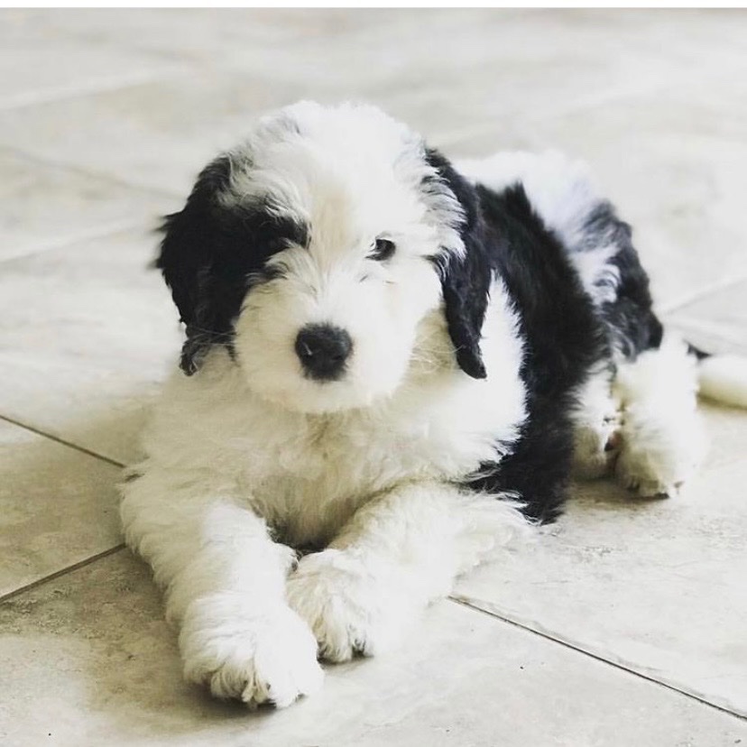 CatalystModTeam's tweet image. My Time Has Come