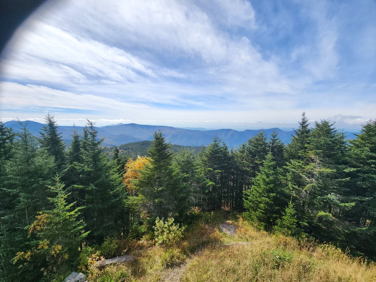 TribSportsLady's tweet photo. Mt. Mitchell, the highest point east of the Mississippi. Beautiful. #MtMitchell #NorthCarolina #blueridgeparkway #nature #healthylifestyle #HealthyLiving #healthcoachlife https://t.co/8OKbueJhUg