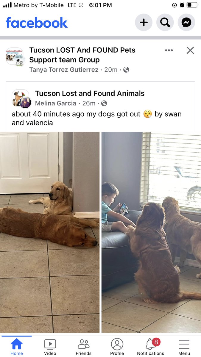 cece2769 tweet media