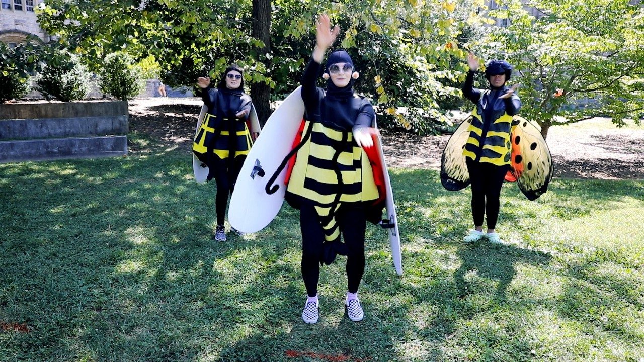 Henrico County Government on X: Help stop the spotted lanternfly, an  invasive insect first detected in Virginia in 2018. Stomp! Squish or Spray!  Costumes not required.😜 More info:  / X