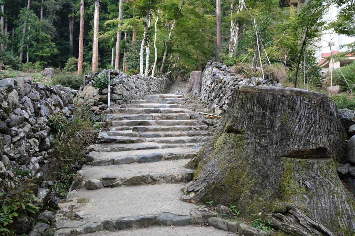 947Bs's tweet photo. 高山寺　石水院
木を伐採？したのかな
だいぶスッキリしてた https://t.co/sXDpnE3jg8