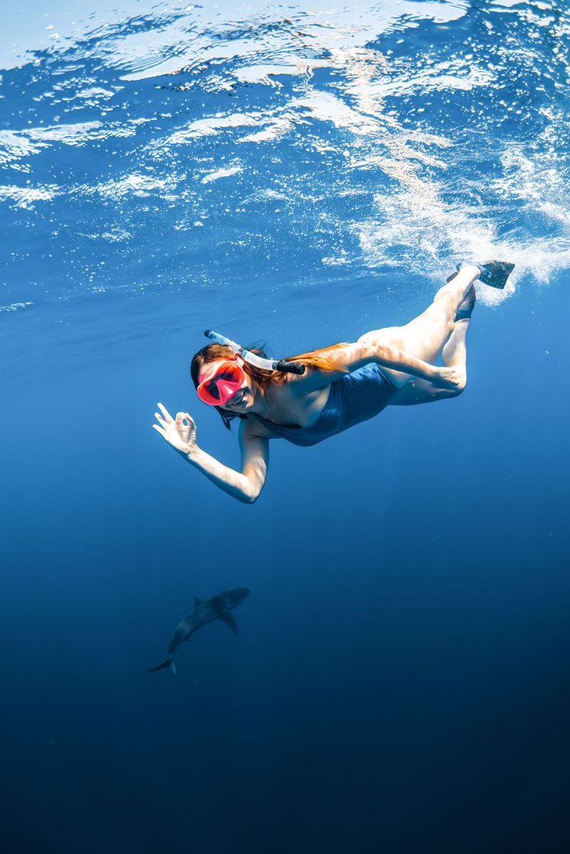 Hoy en cosas que nunca me imaginé hacer: nadar con tiburones 😂😍