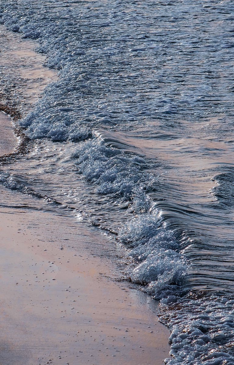 أَبو العز 🖤🌊 tweet media