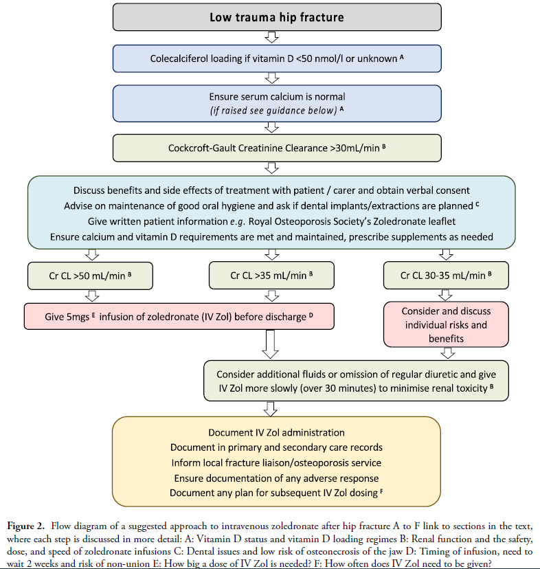 ⭐Call to action:

🦴 Consensus on IV #zoledronate after hip fracture

➡️ In most pts, can give as inpatient or soon after admission

➡️ See paper for details

🔗 doi.org/10.1093/ageing…

#osteoporosis #hipfracture #FFN2023 @FF_network