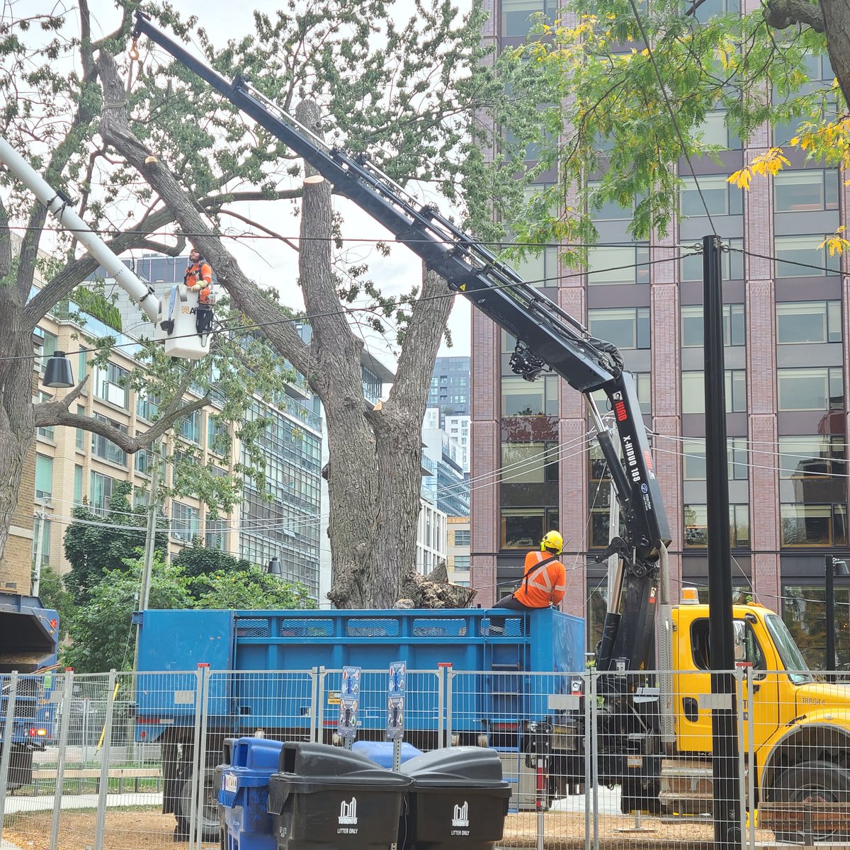 CandySass's tweet photo. St Andrews playground https://t.co/mCmvduWpx8