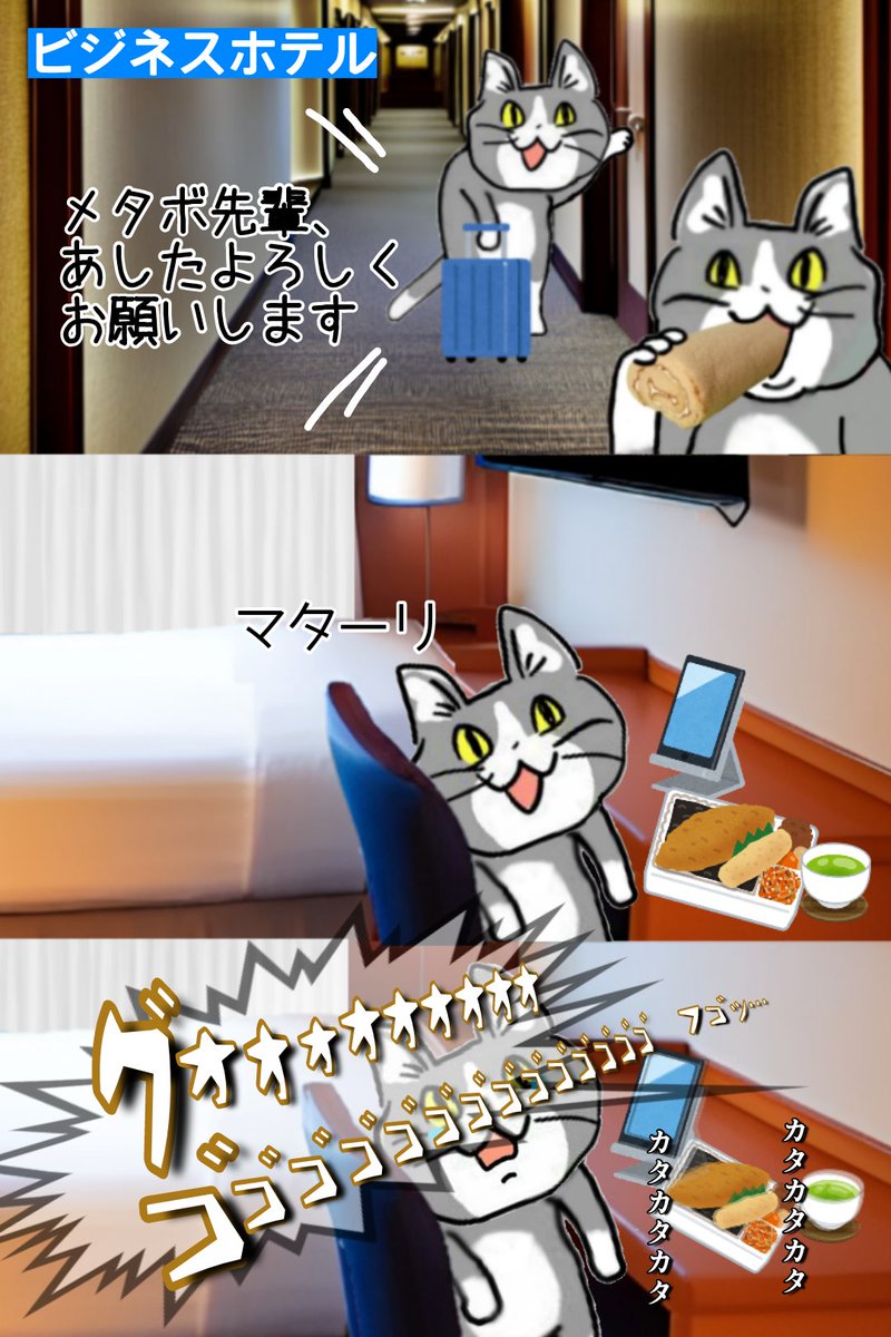 室内で道路工事してるのかな？さすがメタボパイセン！ #現場猫