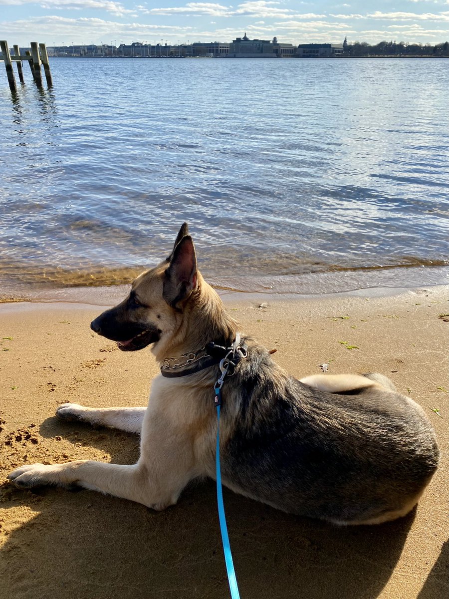 ChastenLisa69's tweet image. #IStandWithCommander 🐾🐾