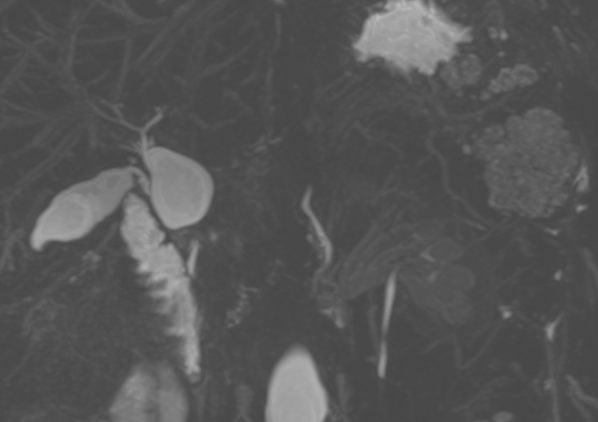 Malak Itani tweet media