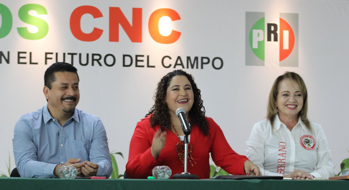 CNC_CEN's tweet photo. Acompañada de los diputados federales @agomezv2308 @hernandezderas @RobertoCaLopezG   @IvonneDiazNay, nuestra dirigente nacional @LetyBarreraM tomó protesta a la diputada @MaElenaSerranoM, como Secretaria para la Atención de Trabajadores y Jornaleros Agrícolas Migrantes de la CNC https://t.co/ssa9TBrEnb