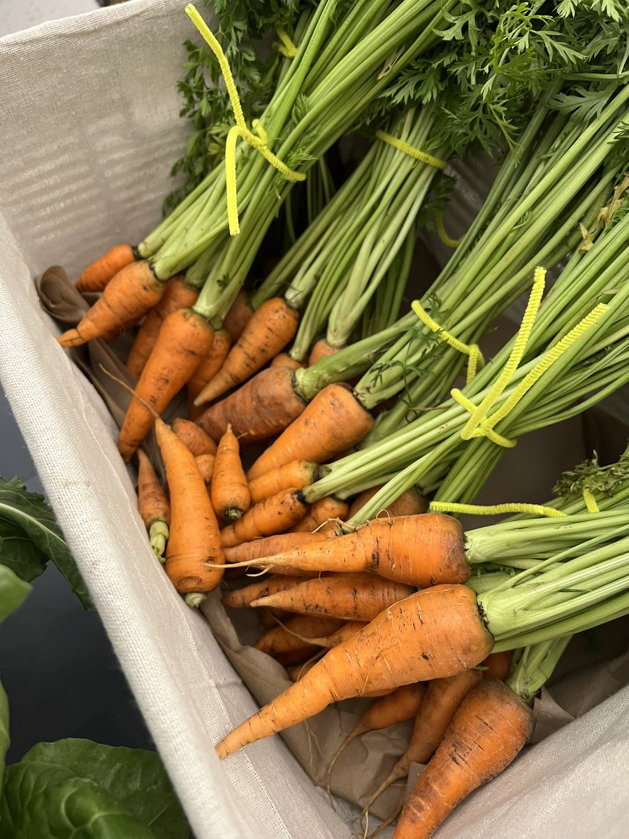 Mrs. Hutman tweet media