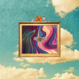 WD BATRA 🤲 tweet media