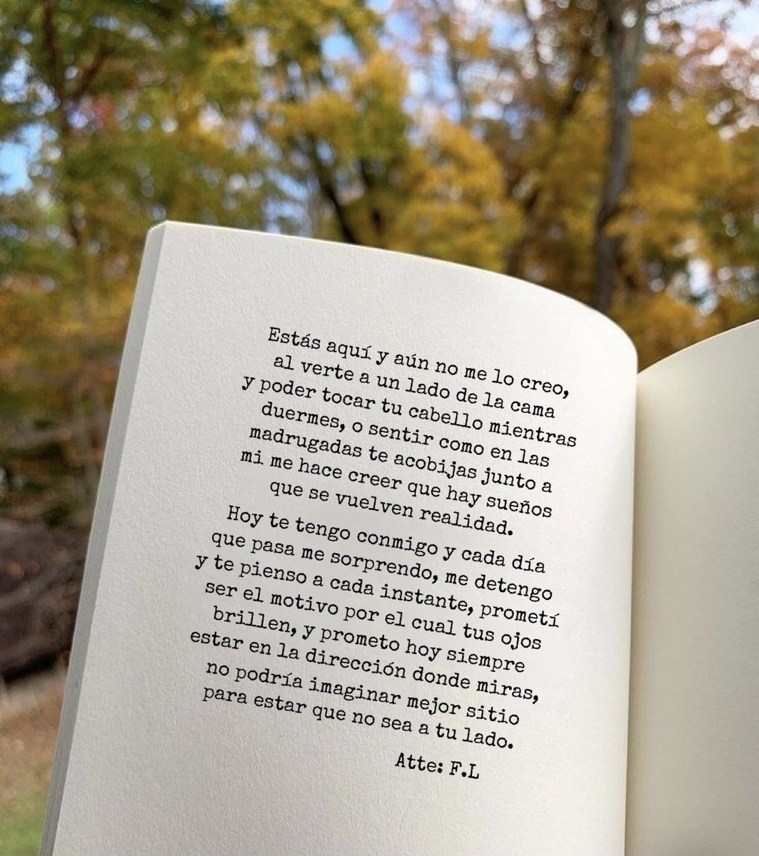 YoSoyFL_'s tweet photo. 🍂 https://t.co/1HGsNNKtXF